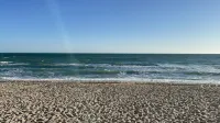 Beautiful Beach Front Condo at Las Palomas Phase 1 Hotels in 