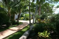 Affordable Luxury-Newly Renovated Beachfront Condo-Vacation Paradise