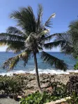 St.Croix, USVI- Cane Bay Beach -direct waterfront Cottage! - Beach