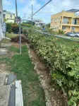 Relaxing vacation home getaway where you can experience local Barbadian culture Hotels in 