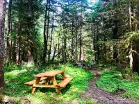 Cozy Family-Friendly Forest Escape Near Mt Hood