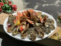 Studio Gruissan plage wifi piscine, clim, parking, équipée 4 pers, RDC, terrasse sud