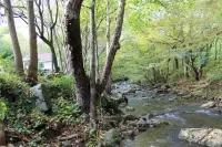 The House in the Holla at the foot of Shenandoah National Park Hotels in Greene County