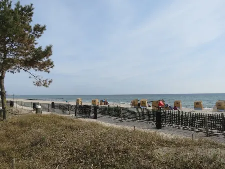 Holiday between forest and waves