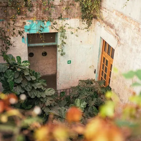 Guest Rooms Jardin Prim