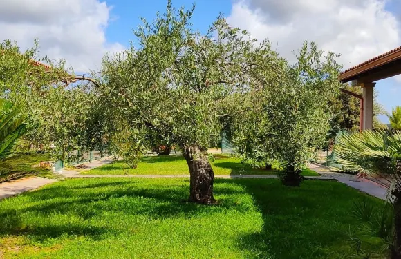 庫卡魯艾歐民宿