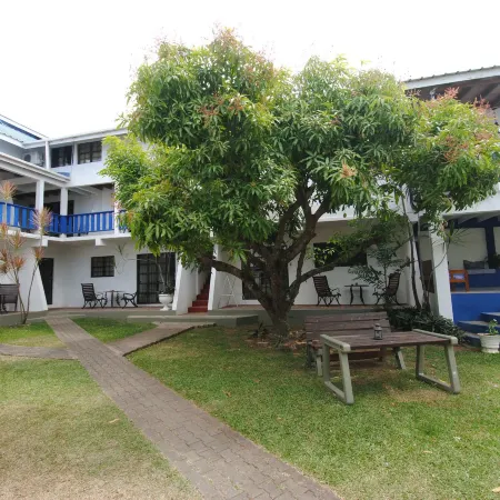 Bananaquit Tobago -Stay Near the Beach