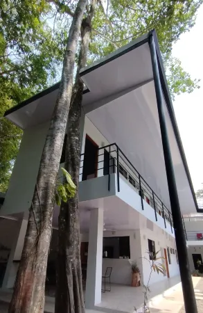 Casajungla Hostel