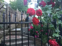 Starlight Poolside ~ 1 bedroom suite