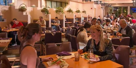 Canyon Plaza Premier Studios and Apts