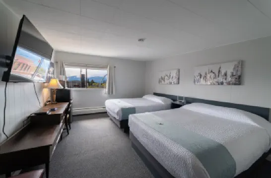 Uptowner Hotel Hotels in 