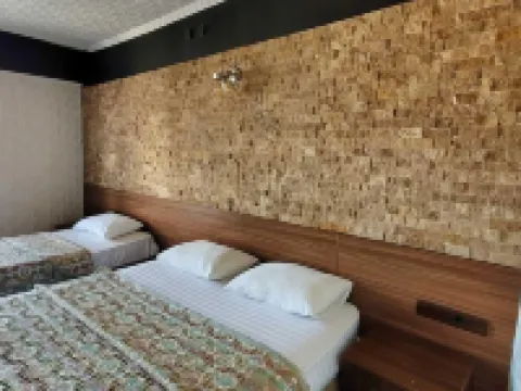 ヘラ シティ ホテル デニズリのホテル