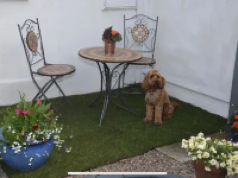 コテージ イン ウースターシャー イブシャムのホテル