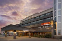 Best Western Cedar Park Inn - Gym