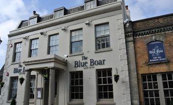 The New Boar