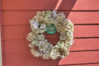 Serene Bungalow-Style Home in Point Reyes Station! - Baarit