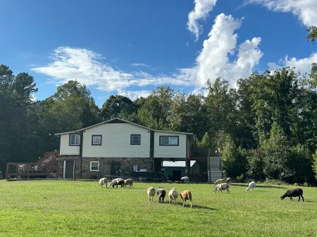 Lovely Farm Cabin Experience