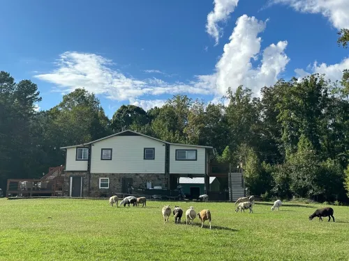 Lovely Farm Cabin Experience
