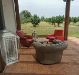 Villa Domus Nirale, 4 km from Civita di Bagnoregio, panorama of Lake Bolsena.