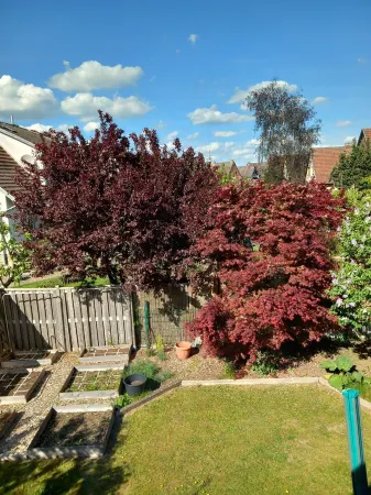 Vacation home Kleine Einkehr - comfortable & quiet in Waren (Müritz), with balcony Отели в г. Варен