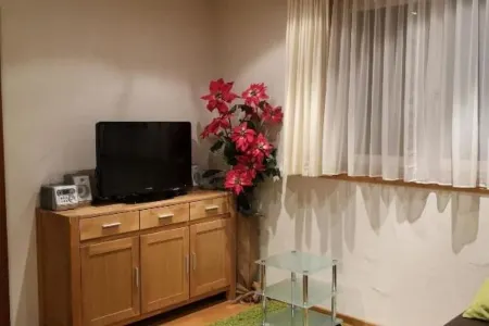 Quiet, centrally located vacation apartment in the middle of the Montafon mountains. Отели рядом с достопримечательностью «Haus Sonneheim»