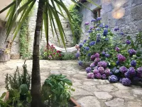 Casa de Campos - Entire House Hotels in Vieira do Minho