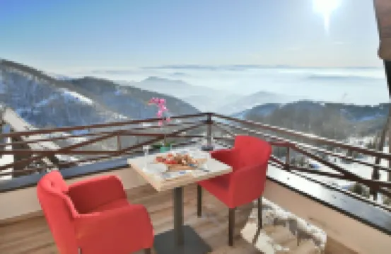 Apartments Dvori Kopaonik Hotels in Municipality of Raska