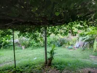 Excellent APARTMENT close to the center Hotels in Itaperuna