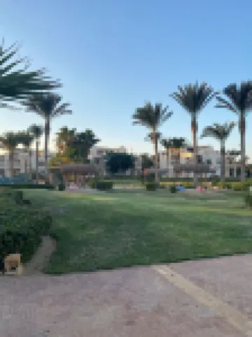 Laguna Bay is an exceptional destination in El Ain El Sokhna .