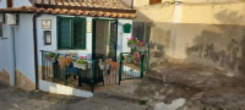 Grandma's little house