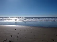 Chic 4 rm 1 bed retreat, No Berkeley area, WiFi, private deck, near UC, nature, Hotels in Kensington