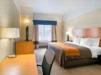 Comfort Inn & Suites, Odessa I-20 Hotels in Ector County