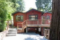 Sunny, downtown family oasis amongst the redwoods