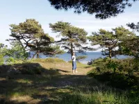 Seaside Oasis with Pool - By Traum Ferienwohnungen Hotels in Snogebaek