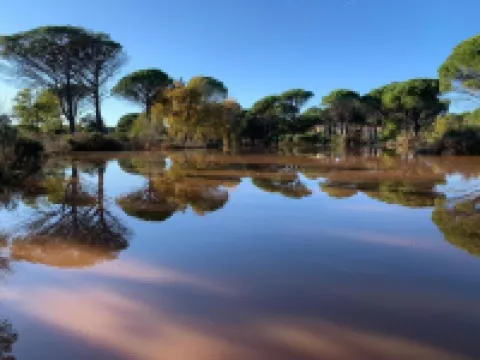 Villa in Vidauban with Pool and BBQ - Homestays