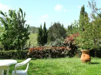 Farmhouse in Vinci near Leonardo's Birthplace - Farmhouses