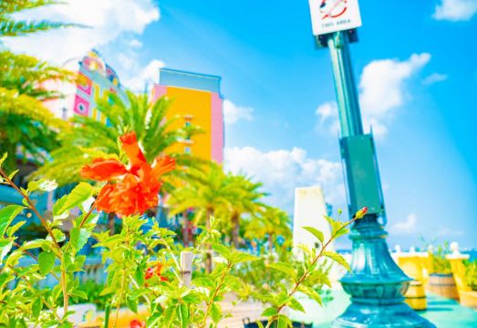 미스터긴조 그랜드 블루 객실 상세