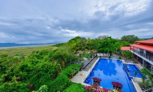 첸타우리아 와일드