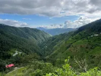 The Jungle Story - Shimla | by Headquarter