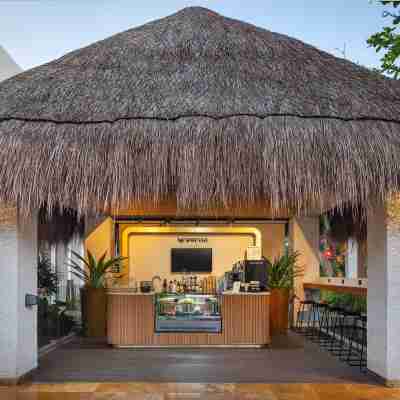 Paradisus Playa del Carmen - Riviera Maya - All Inclusive Hotel Exterior