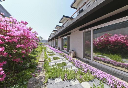 음성 블랙&화이트