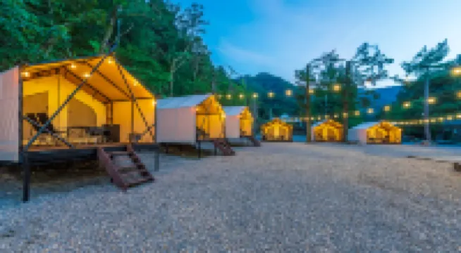 Gapyeong Tiger Camping