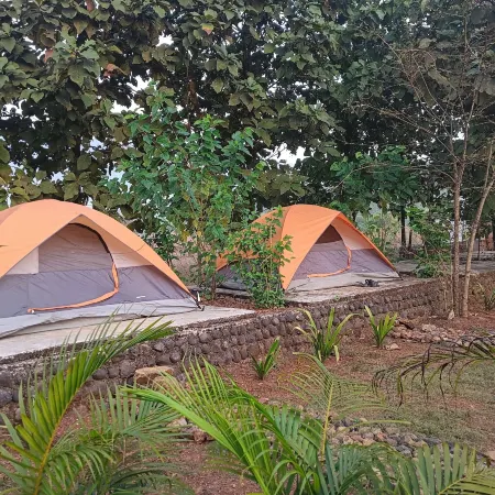 Tadmal Retreat N Resort