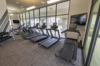 Cozy 1BR Retreat - Condos