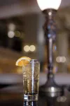 Millennium Hotel Knickerbocker Chicago - Barer