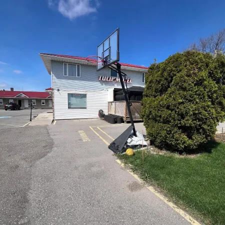 Tulip Motel