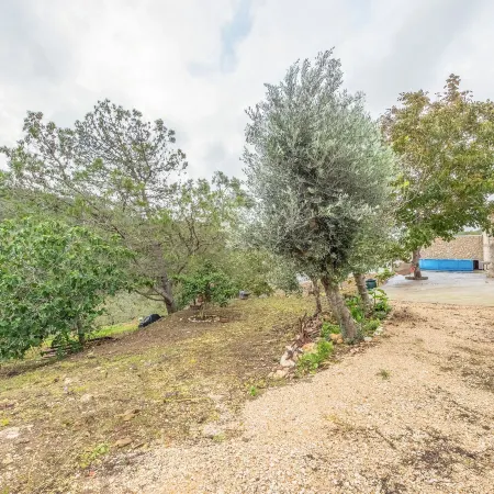 Paraíso rural em Bucelas