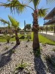 Ariom Apartments