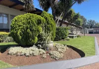 Travel Lodge