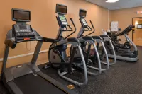 Holiday Inn Express BREEZEWOOD by IHG - Gym
